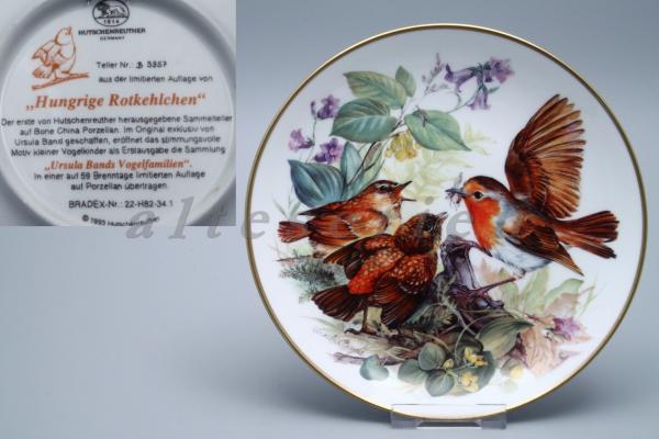 Hungrige Rotkehlchen