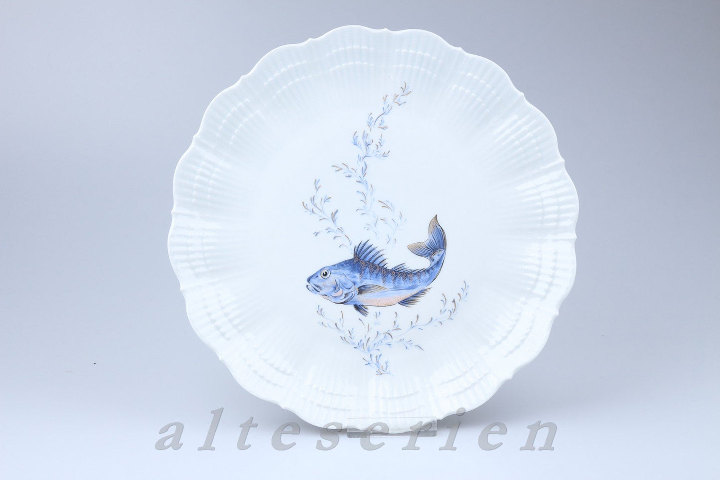 Speiseteller Seehecht