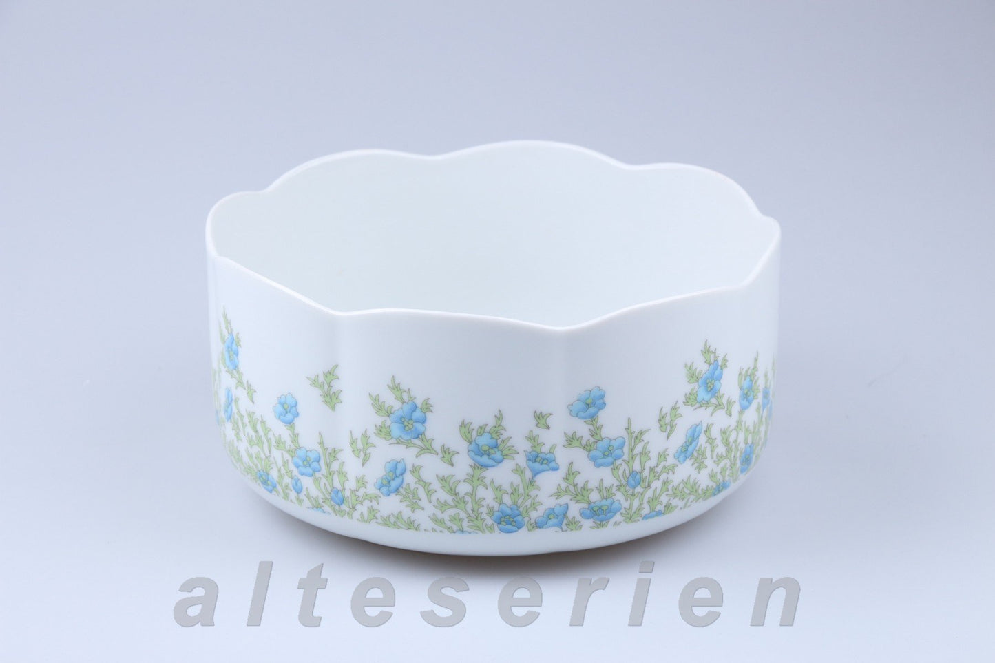Schüssel mittelgroß