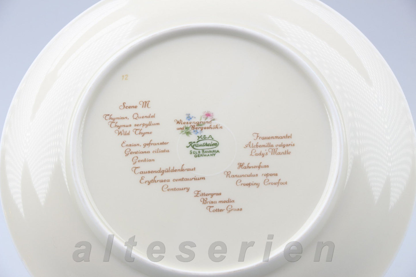 Kuchenteller klein - Scene M