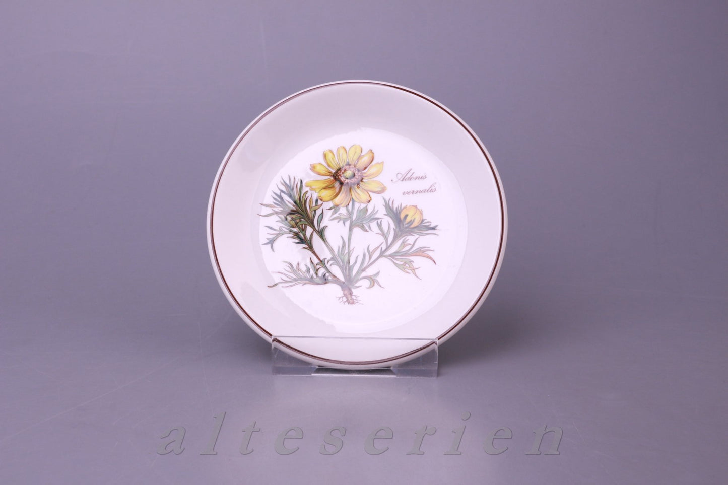 Untersetzer Adonis vernalis rund mittelgroß