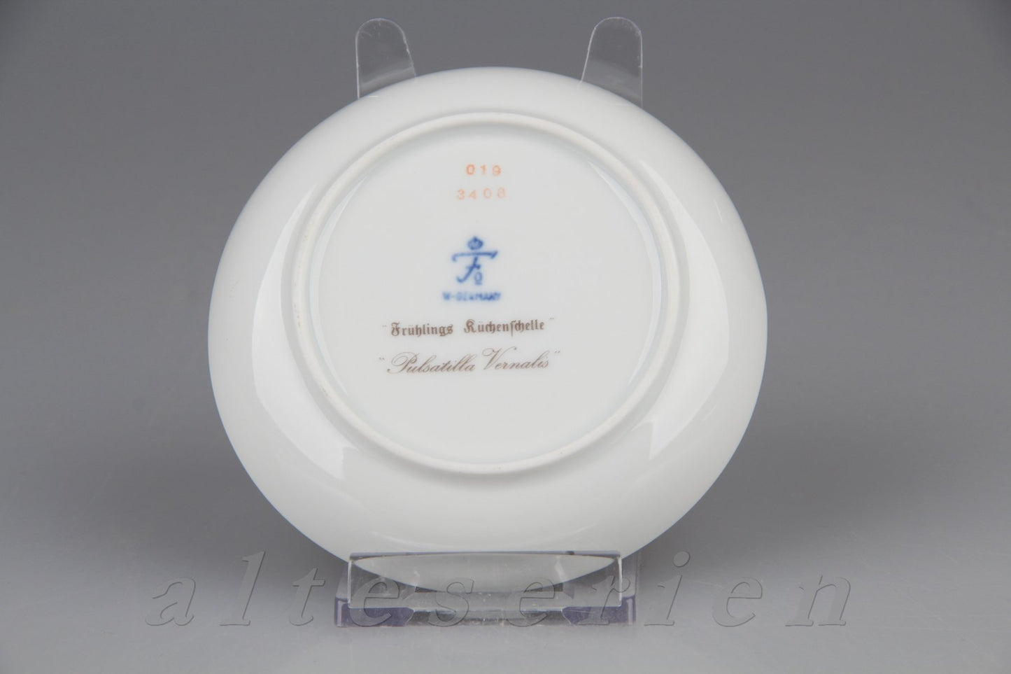 Minischale Frühling Küchenschelle Pulsatilla Vernalis