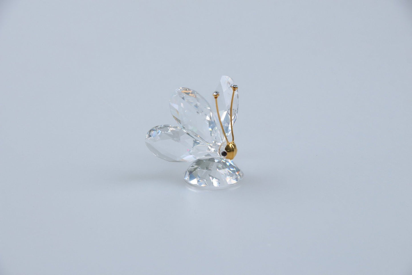 Schmetterling klein 012774 ohne OVP