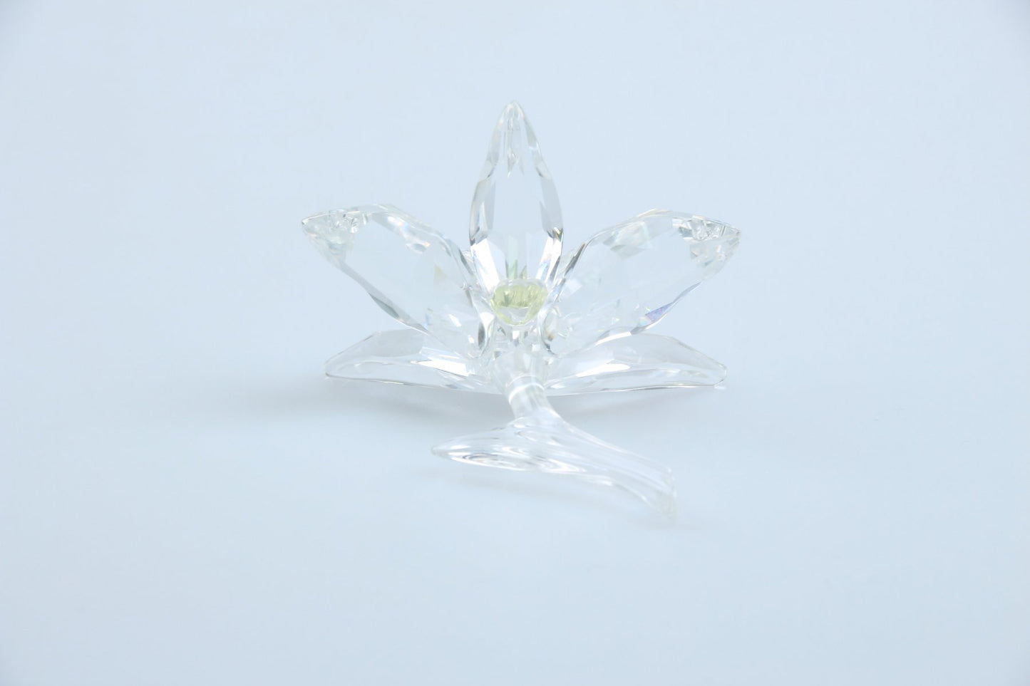 Orchidee gelb 200280