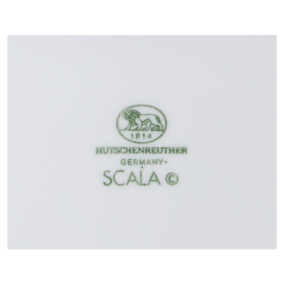 Speiseteller Kirschen