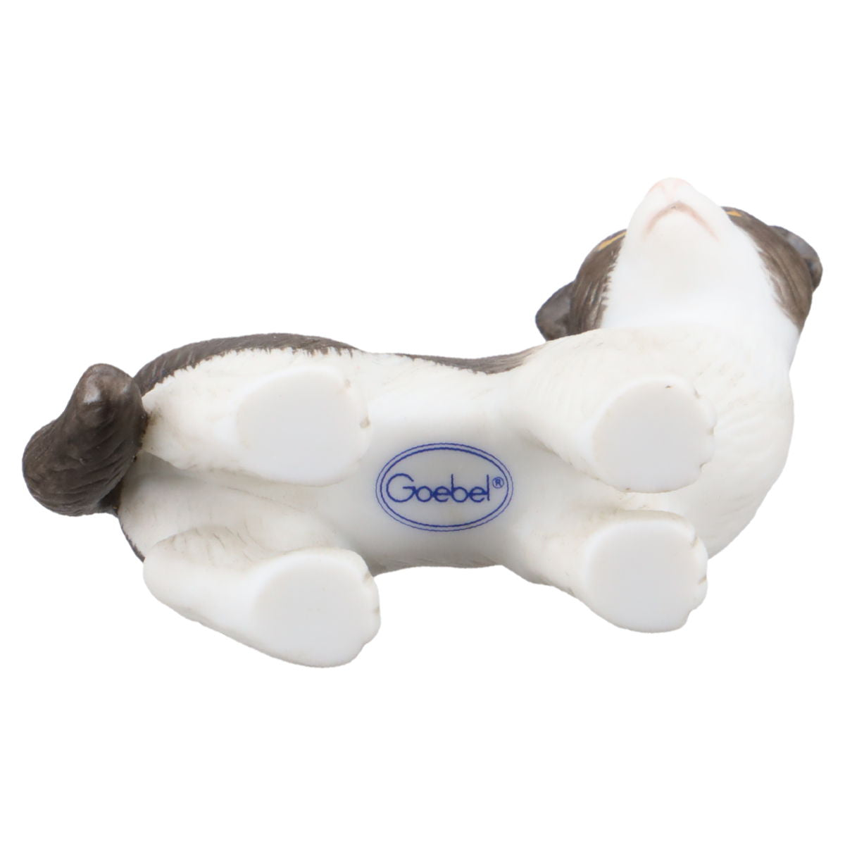 2 kleine Katzen schwarz weiß