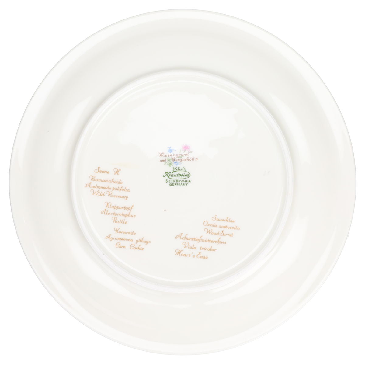 Kuchenteller Typ II - Scene H