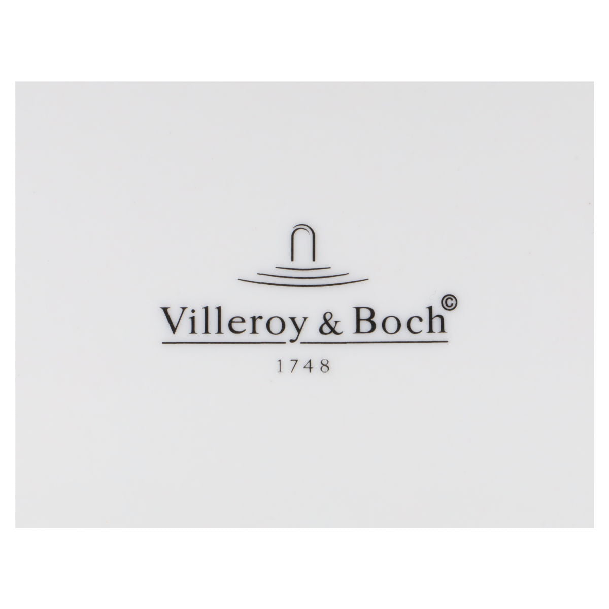 Kuchenteller groß/Frühstücksteller