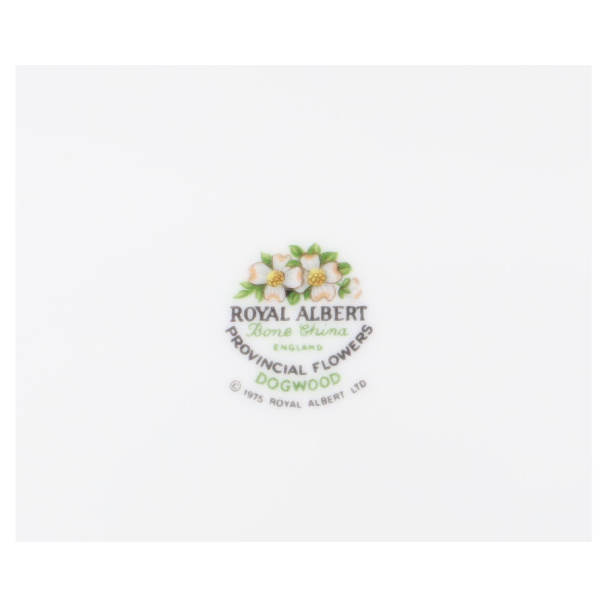 Kaffeetasse mit Untere Dogwood