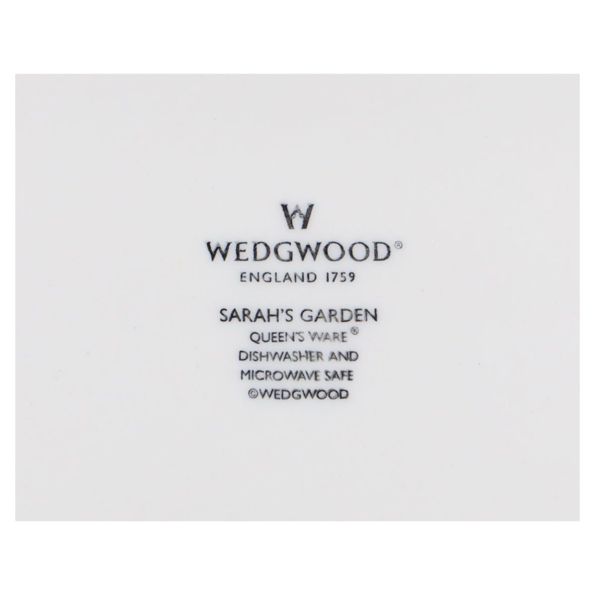 Kuchenteller grün - Fragaria vesca