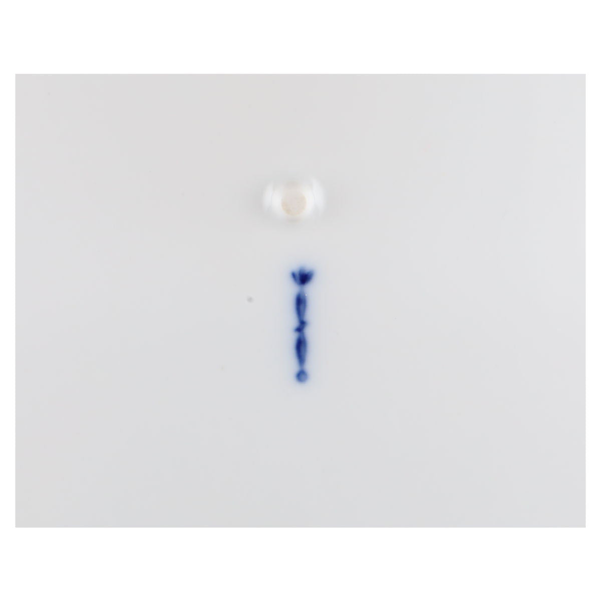 Ragout / Terrine ohne Deckel