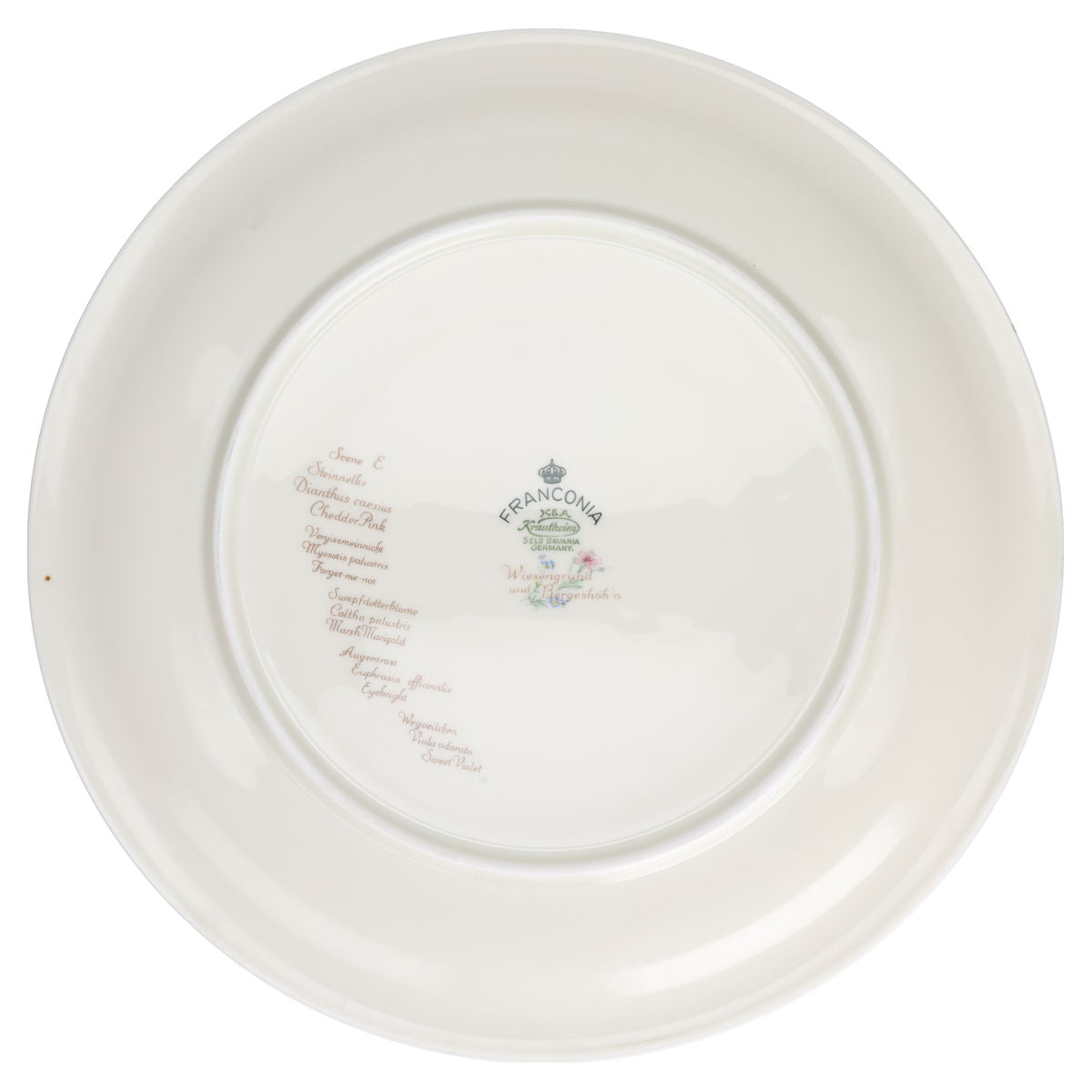 Speiseteller - Scene E