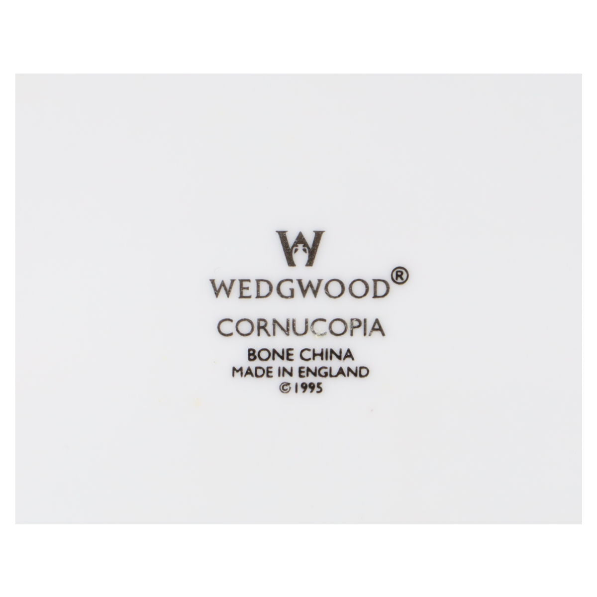 Milchkännchen Cream colors