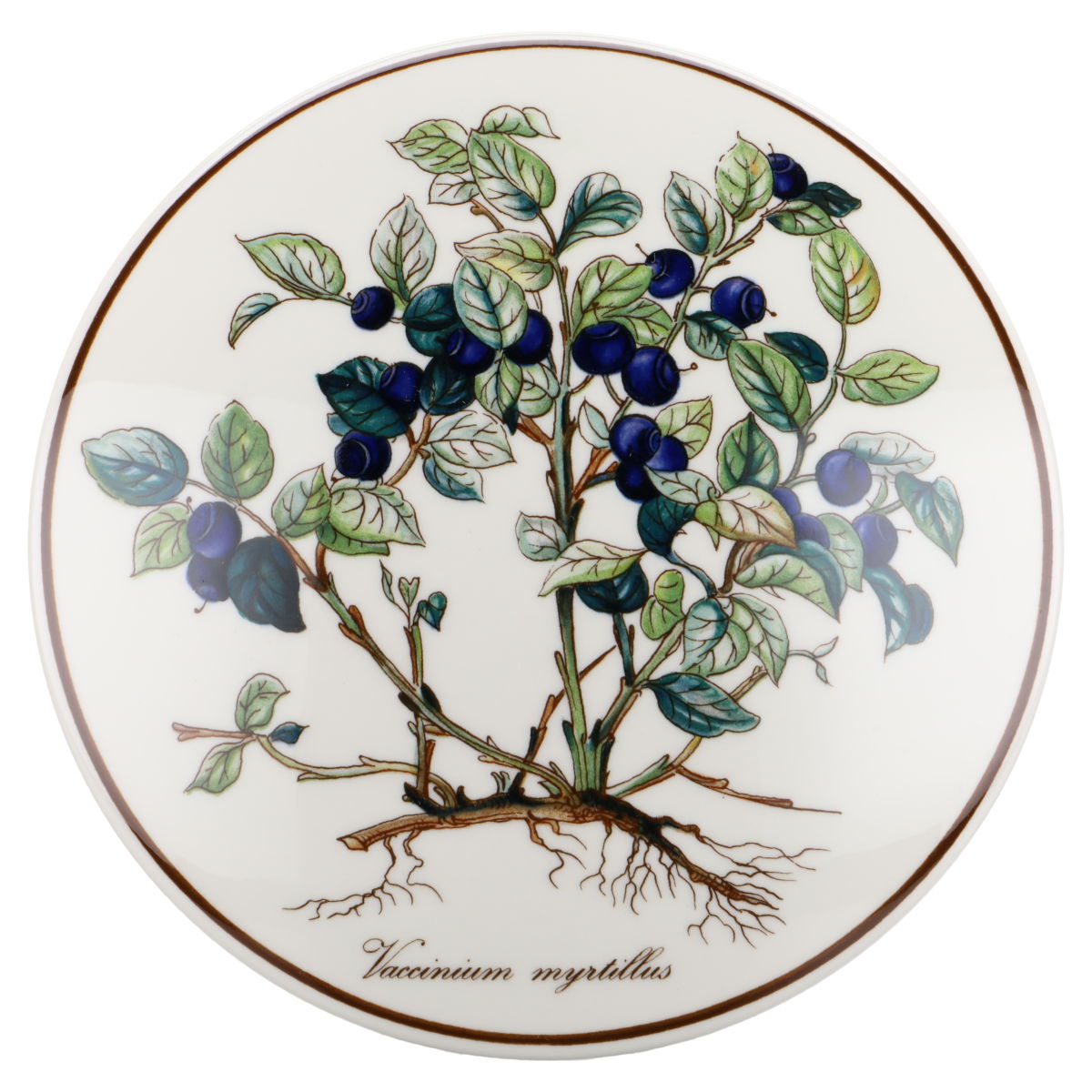 Deckel für Bonbonniere maxi - Vaccinium myrtillus