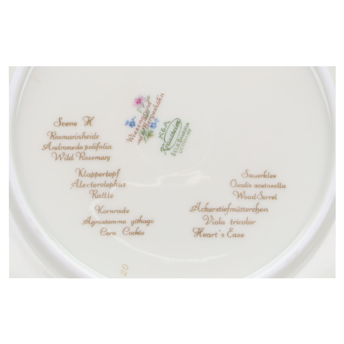 Kuchenteller - Scene H