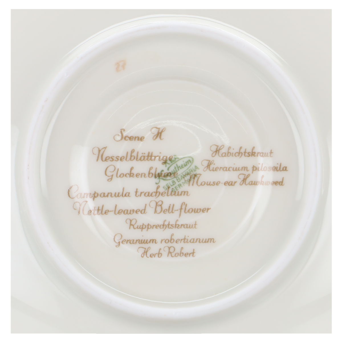 Untertasse für Kaffee / Tee - Scene H