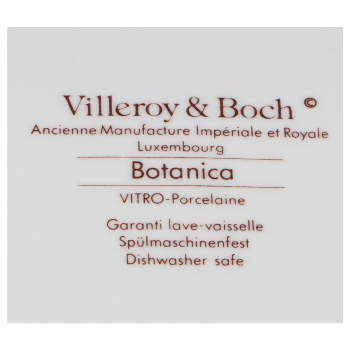 Fleischplatte klein Anthemis tinctoria ohne Wurzel