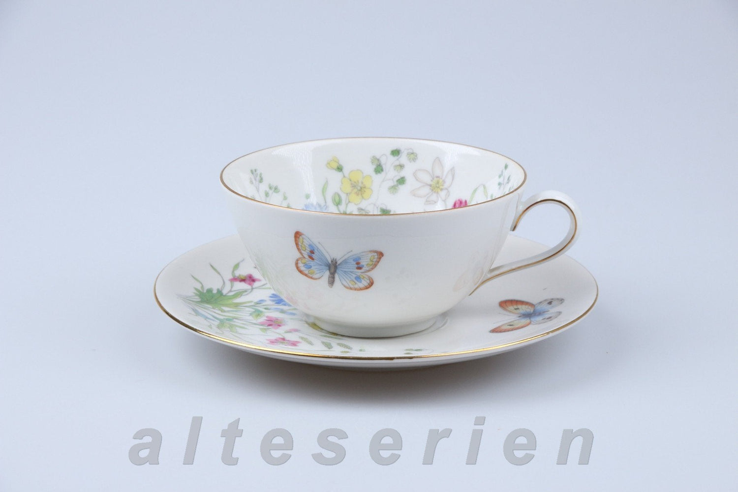 Seltmann Weiden - Liane - Heidi 23312