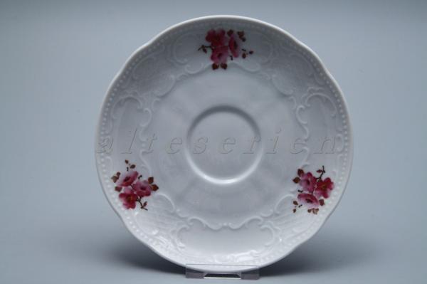 Seltmann Weiden - Wien - Kirschblüte