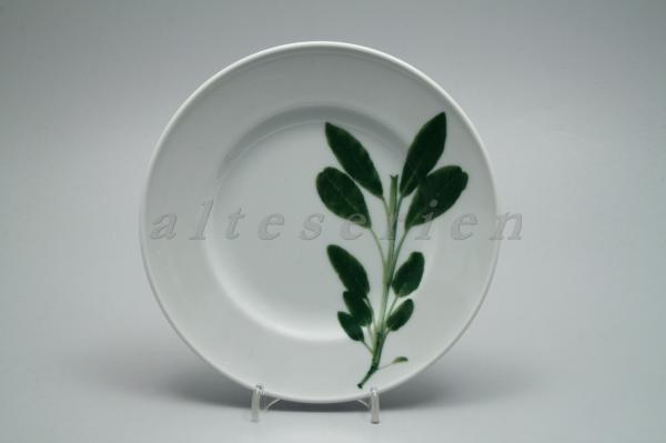 Dibbern - Herbaticum - Salbei