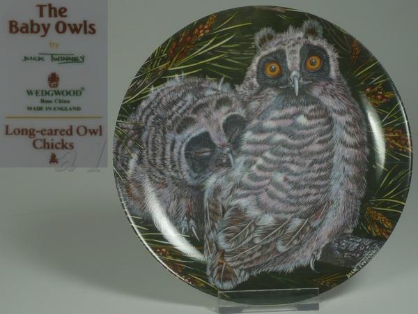 Wedgwood - The Baby Owls