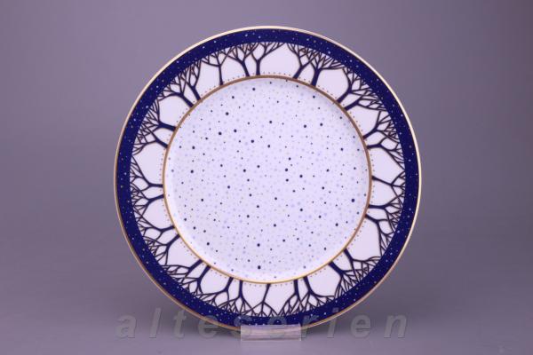 Fürstenberg - Fox - Winternacht 3885