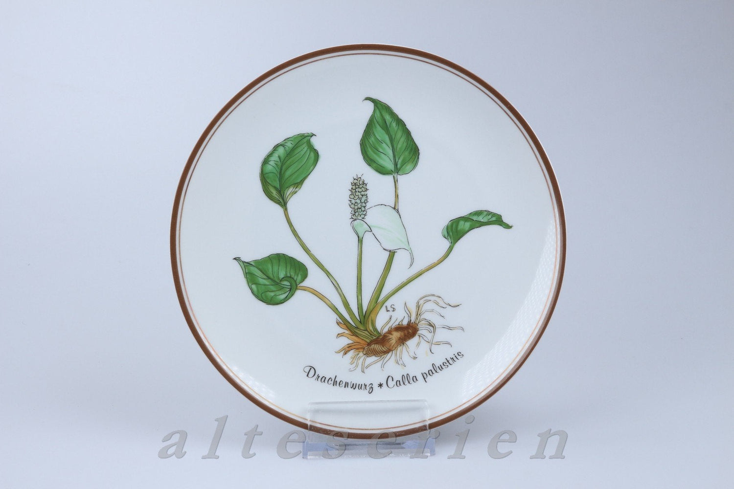 Rosenthal - Loki Schmidt - Aus Liebe zur Natur