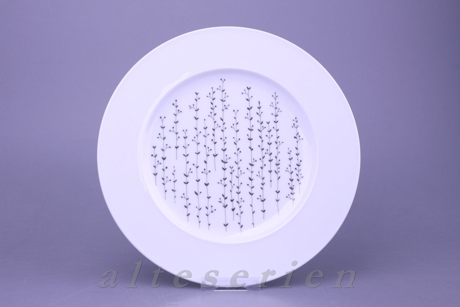 Rosenthal - Variation - Polarblume