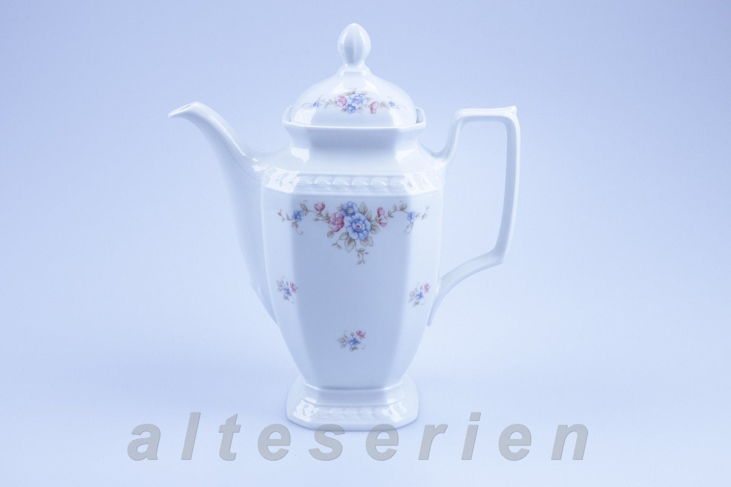 Seltmann Weiden - Andrea - bunte Blumenranke