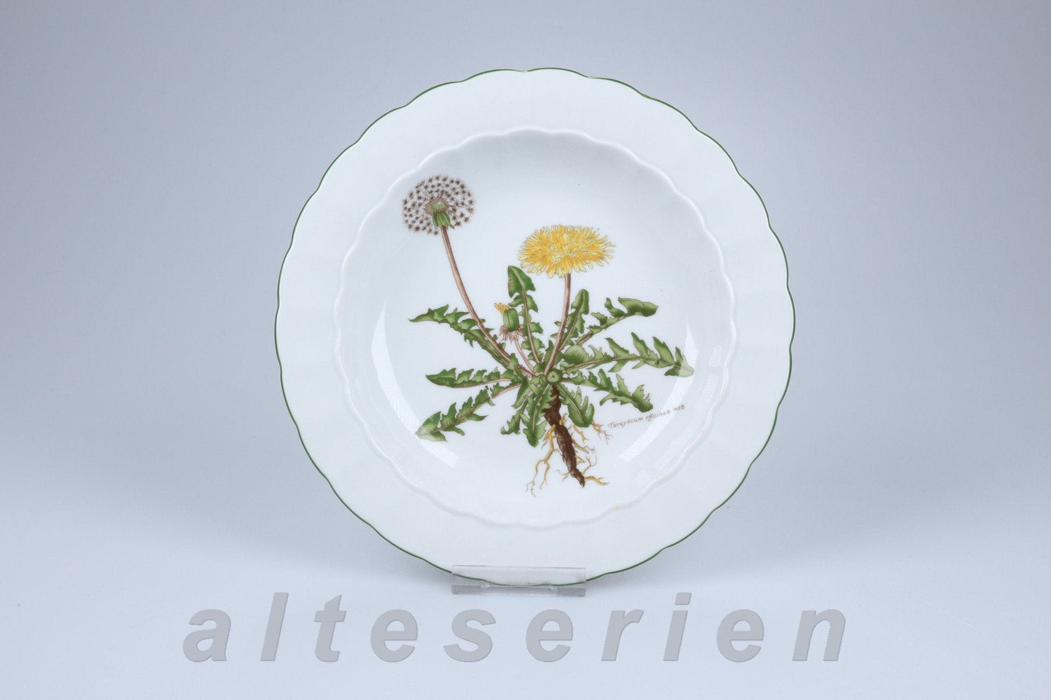 Eschenbach - Bayreuth - Botanica