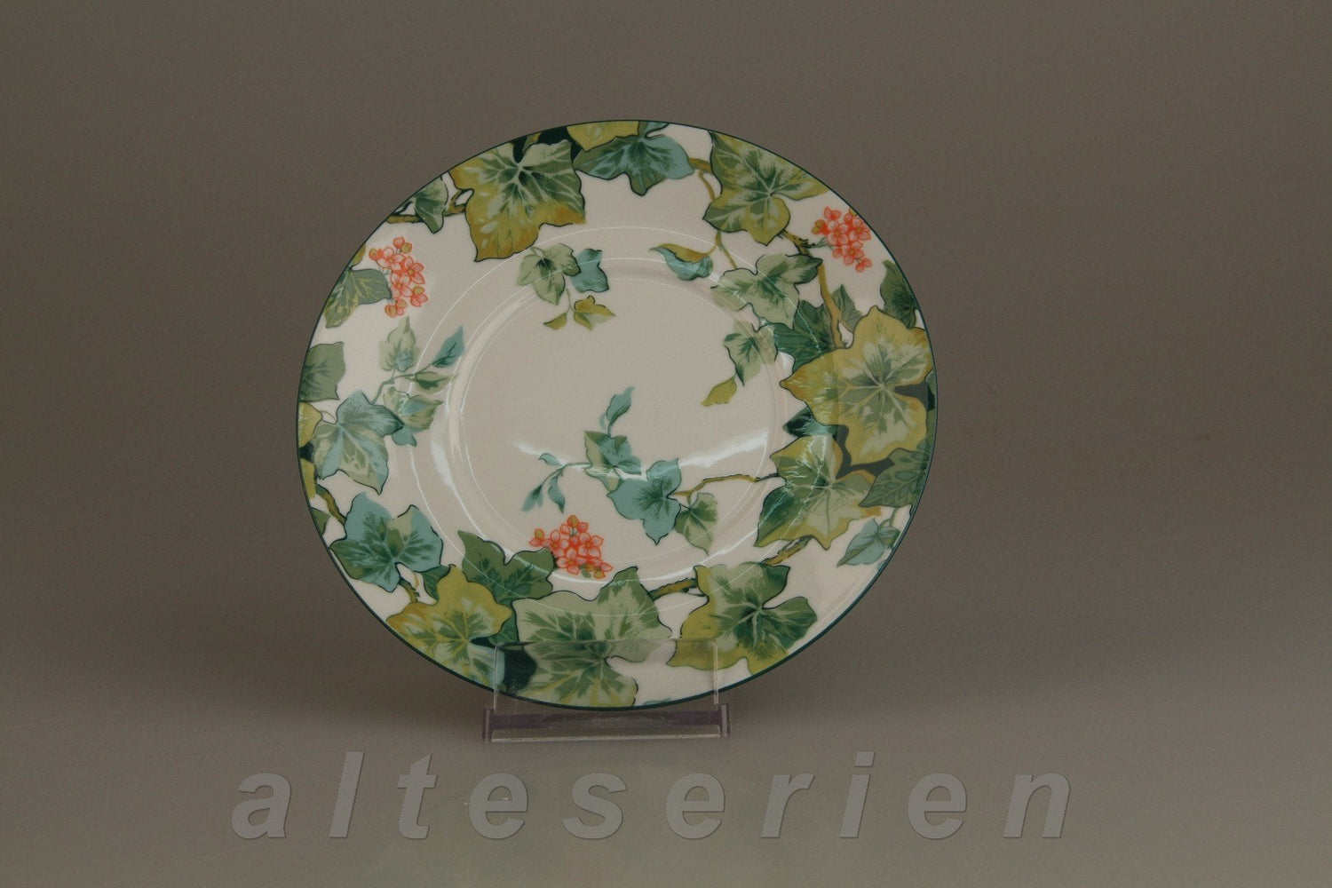 CNP Porcelaine - Oxford - Décor Lierre Efeu
