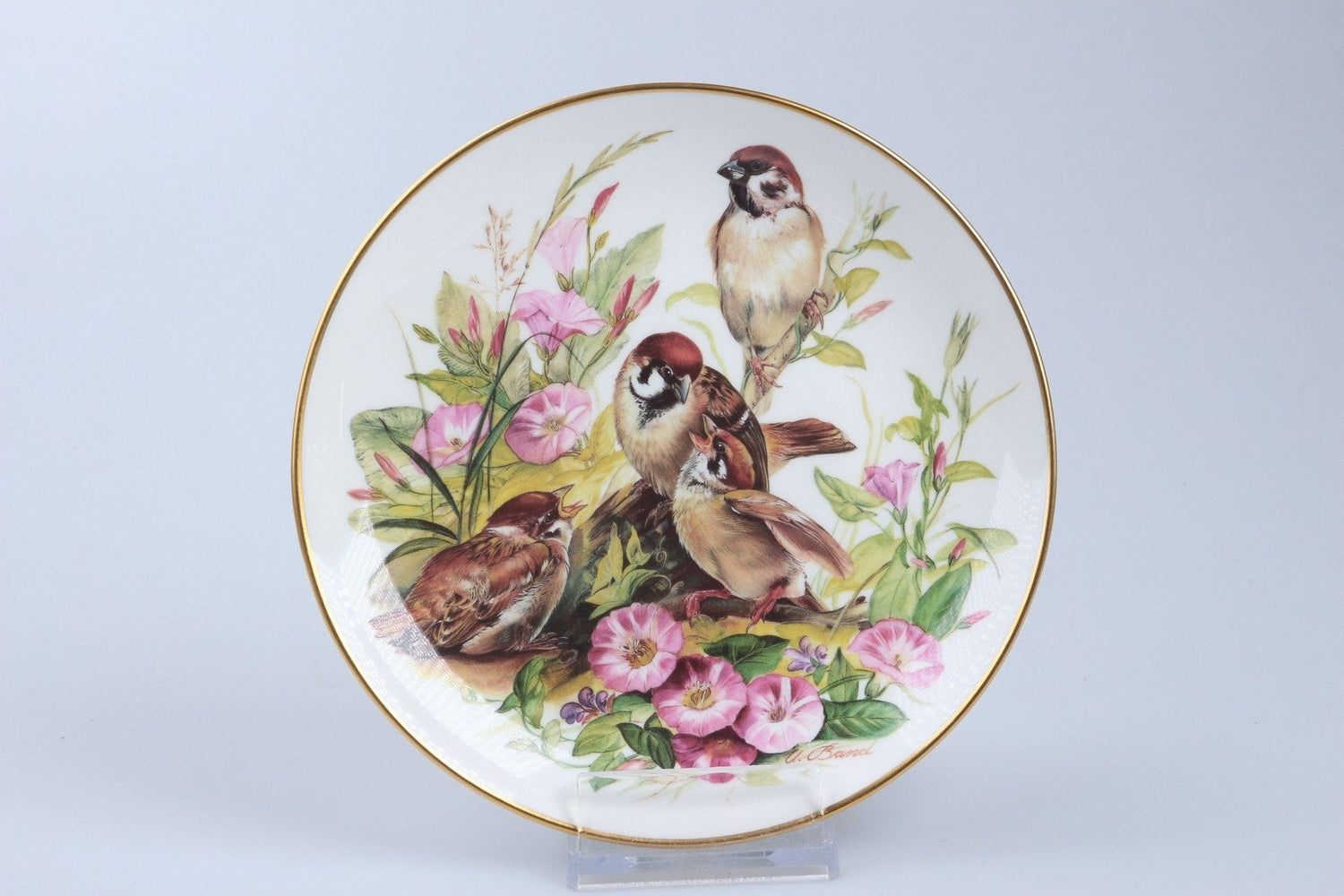 Hutschenreuther - Wandteller - Ursula Bands Vogelfamilien