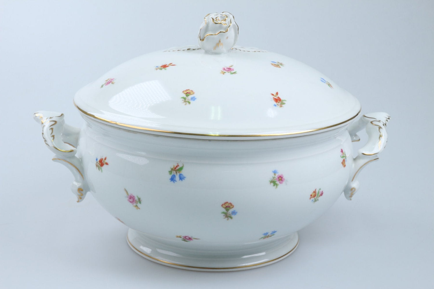 Fürstenberg - Alt Fürstenberg - Streublume 01176