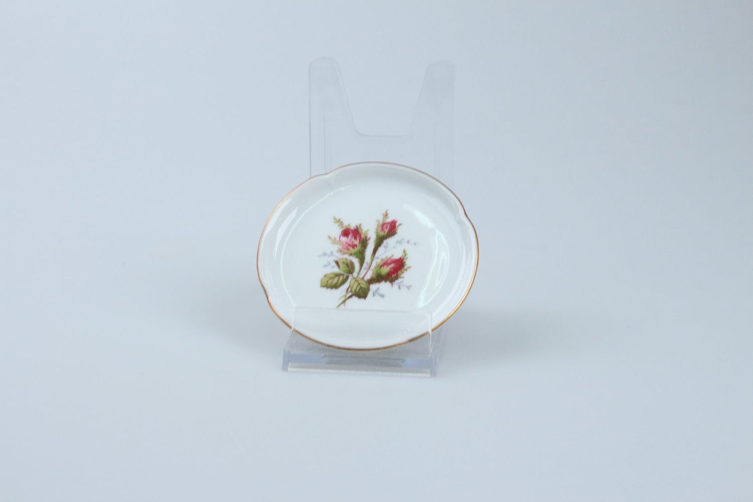 Rosenthal - Sanssouci weiß - Moosrose