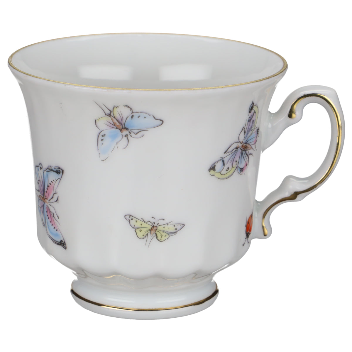 Burg Lindau - Flora und Insekten