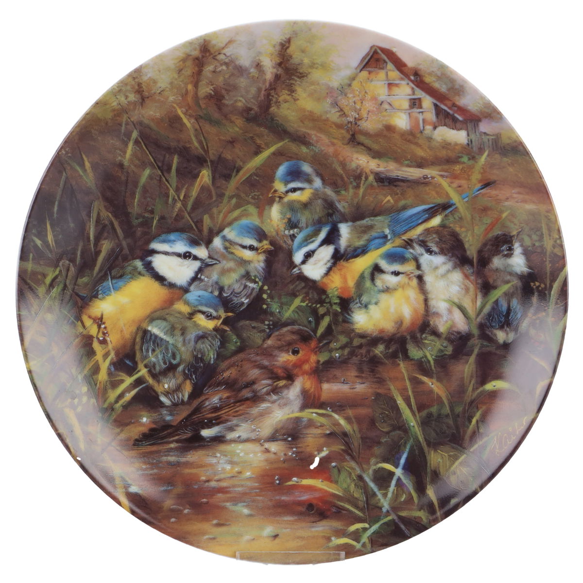 Seltmann Weiden - Heitere Geschichten aus der Vogelwelt