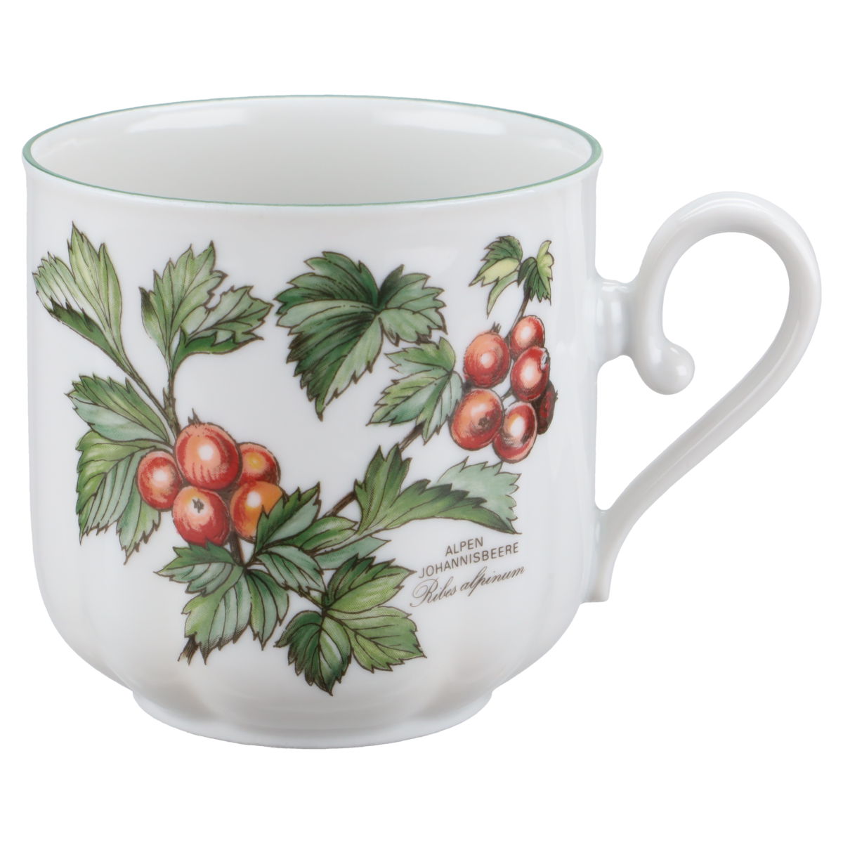 Seltmann Weiden - Gloria