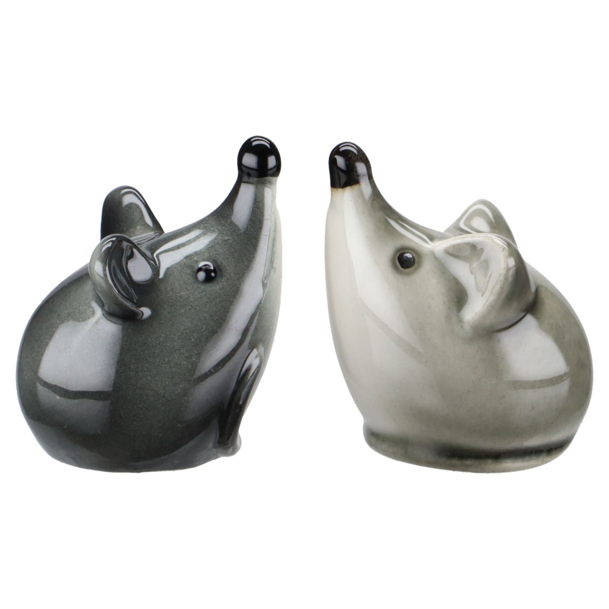 Goebel - Tiere - weitere Säugetiere