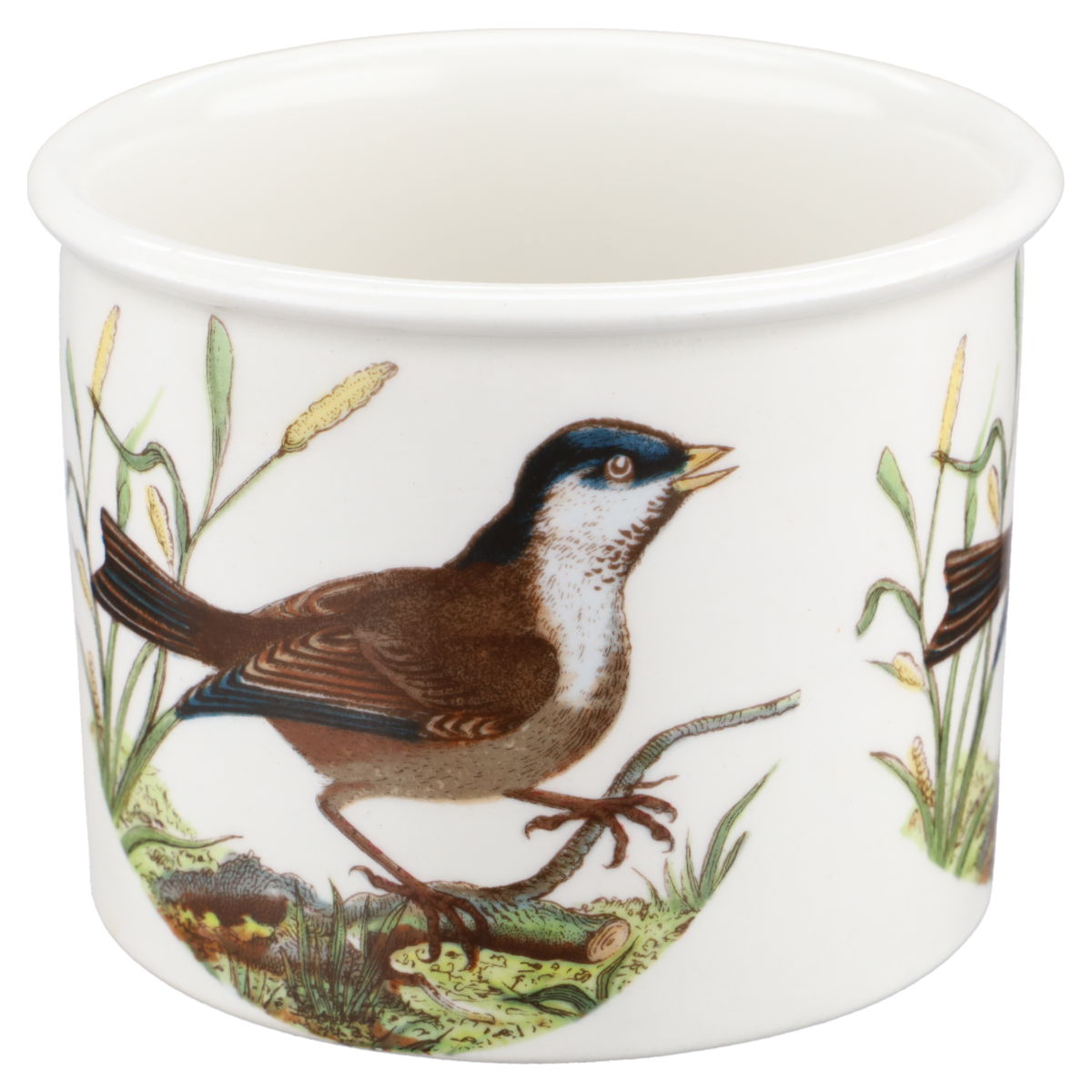 Portmeirion - Birds of Britain