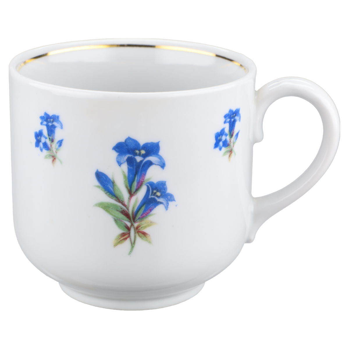 Schirnding Bavaria - Enzian