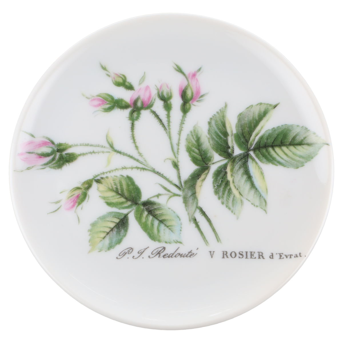 Hutschenreuther - P.J. Redouté