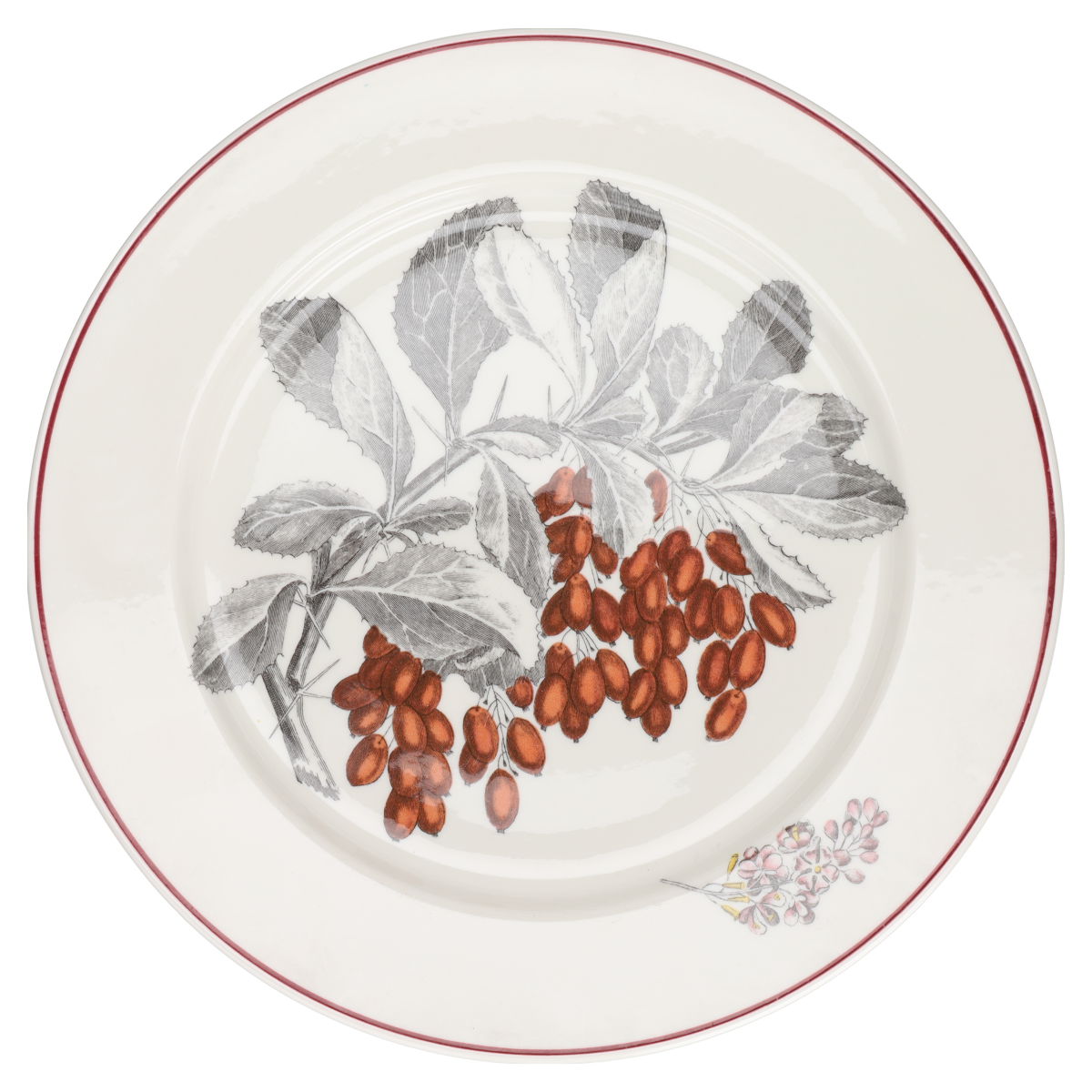 Villeroy & Boch - Como Sanddorn