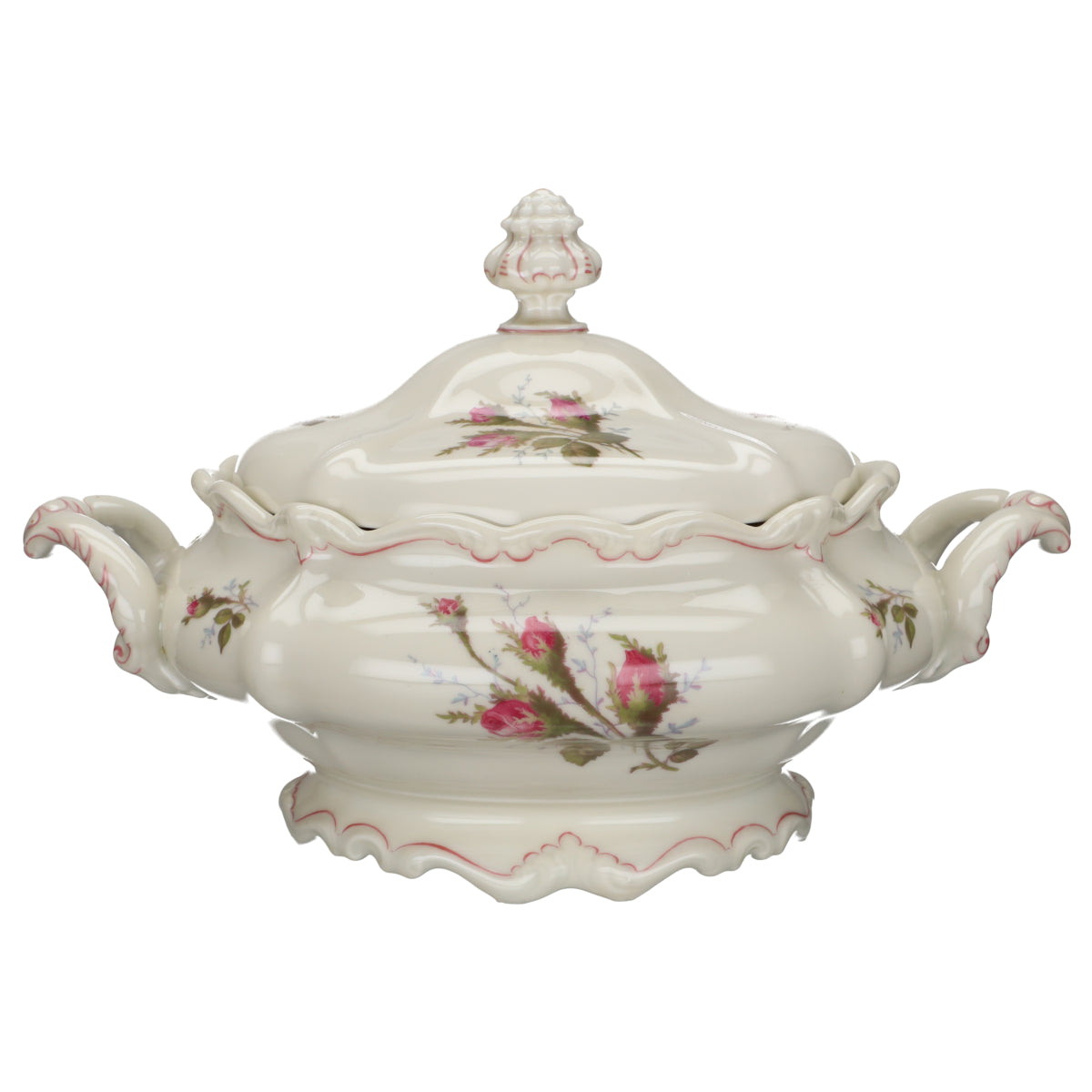 Rosenthal - Pompadour - Moosrose Rotrand