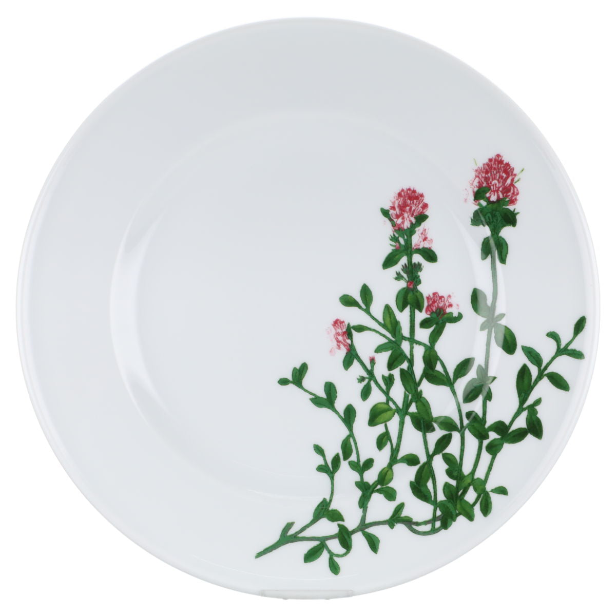 Schönwald - Herbaticum - Thymian