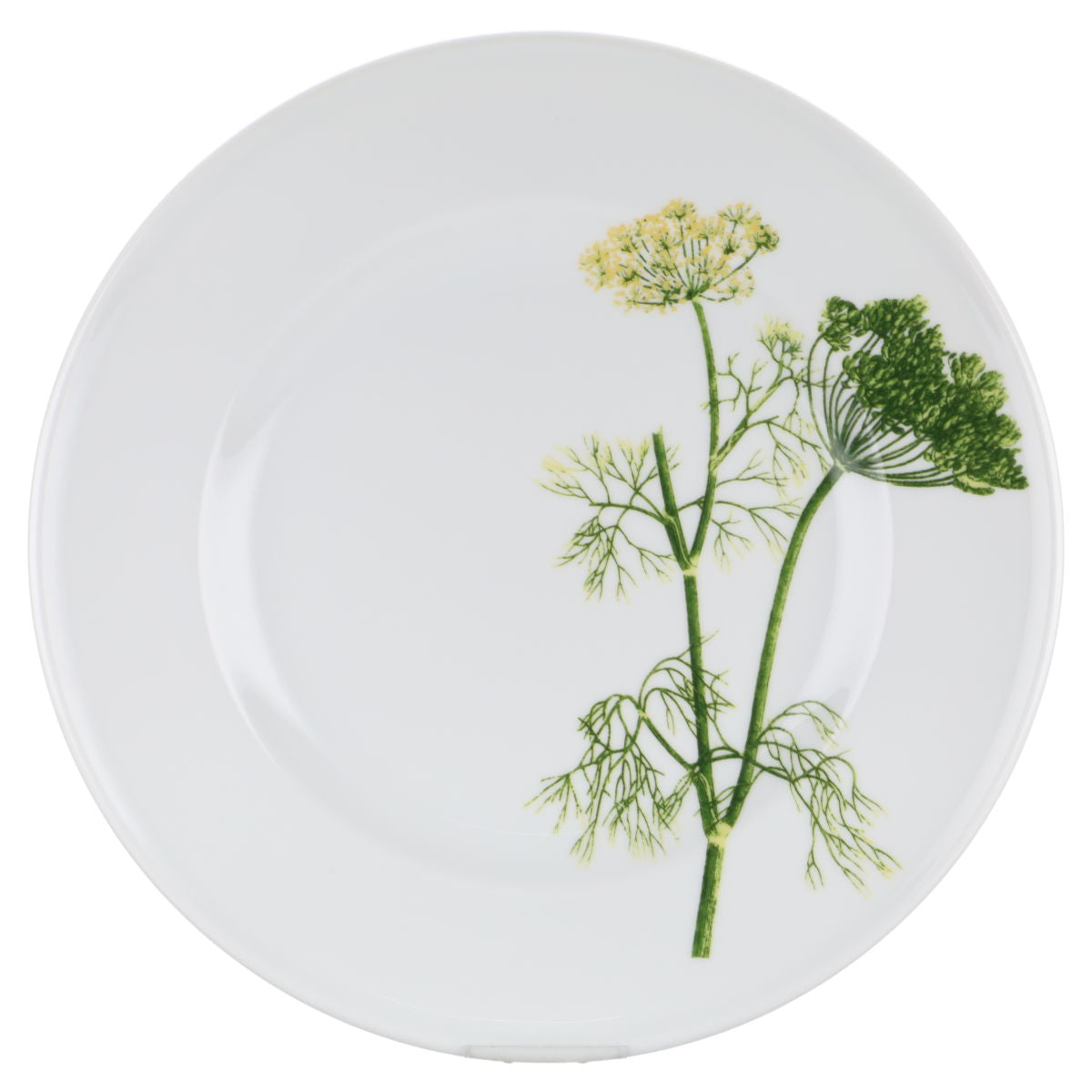 Dibbern - Herbaticum - Dill
