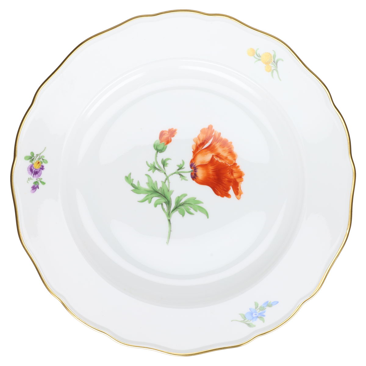 Speiseteller Mohnblume orange seitlich mittel