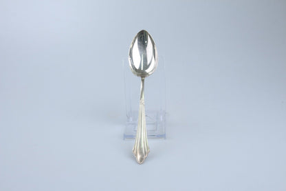 Gemüselöffel groß