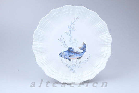 Speiseteller Seehecht