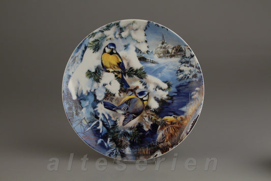 Blaumeisen zwischen Tannenzweigen