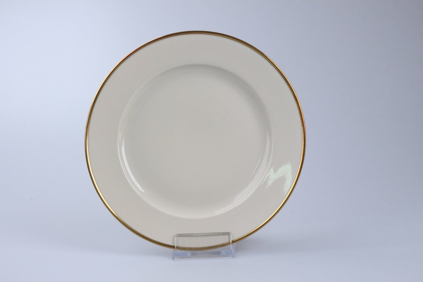 Speiseteller mit breiter Fahne (breiter Tellerrand)